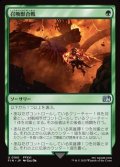 【日本語Foil】召喚獣合戦/Clash of the Eikons