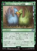 【日本語Foil】サブクエスト：チョコボ育成/Sidequest: Raise a Chocobo