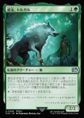 【日本語Foil】盟友、トルガル/Torgal, A Fine Hound
