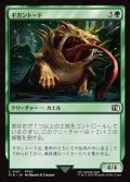 【日本語Foil】ギガントード/Gigantoad