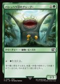 【日本語Foil】パシュハウ沼のグゥーブー/Goobbue Gardener