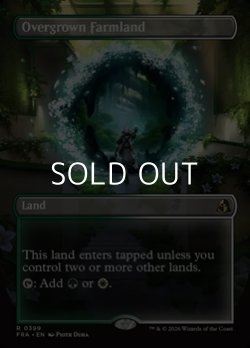 画像1: ☆特殊枠【英語】草茂る農地/Overgrown Farmland