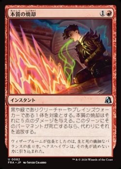画像1: 【日本語】本質の焼却/Essence Burn