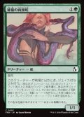 【日本語Foil】秘儀の両頭蛇/Arcane Amphisbaena