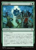【日本語Foil】蛮行の強制/Compel Brutality