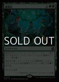 【日本語Foil】庭園化/Gardenize