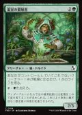 【日本語】温室の繁殖者/Greenhouse Propagator