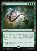 【日本語Foil】遍在/Omnipresence