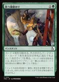 【日本語】救う価値あり/Something Worth Saving