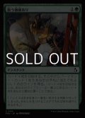 【日本語Foil】救う価値あり/Something Worth Saving