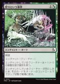 【日本語】狩りという暴挙/Ferocity of the Hunt