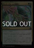 【日本語Foil】ヴィゴーブルームの魔除け/Vigorbloom Charm
