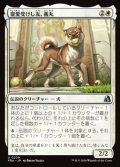 【日本語Foil】寵愛受けし友、義丸/Yoshimaru, Beloved Companion