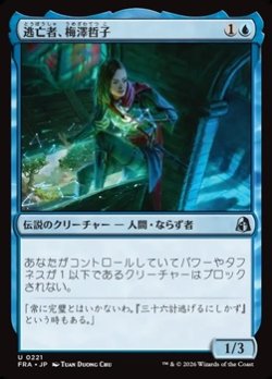 画像1: 【日本語Foil】逃亡者、梅澤哲子/Tetsuko Umezawa, Fugitive