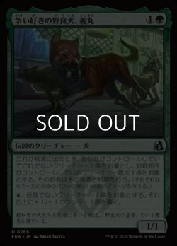 画像1: 【日本語Foil】争い好きの野良犬、義丸/Yoshimaru, Scrappy Stray