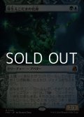☆特殊枠【日本語Foil】芽生えこだまの化身/Avatar of Burgeoning Echoes
