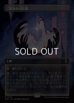 画像1: ☆特殊枠【日本語】こだまの大広間/Hall of Echoes