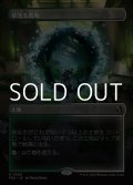 ☆特殊枠【日本語Foil】草茂る農地/Overgrown Farmland