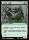 【英語】でぶの年寄りクモ/Old Fat Spider