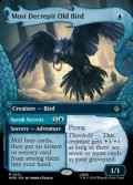 ☆特殊枠【英語】この上なくよぼよぼな年より鳥/Most Decrepit Old Bird