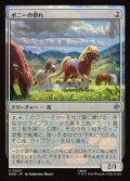 【日本語】ポニーの群れ/Troop of Ponies