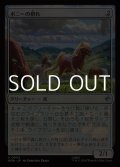 【日本語】ポニーの群れ/Troop of Ponies