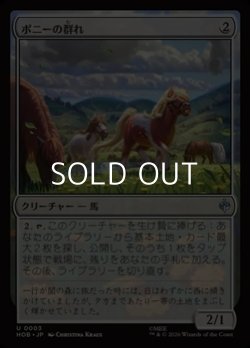 画像1: 【日本語】ポニーの群れ/Troop of Ponies