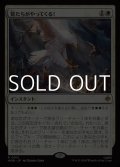 【日本語】鷲たちがやってくる！/The Eagles Are Coming!