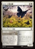 【日本語】ビロード羽の蝶/Velvetwing Butterflies