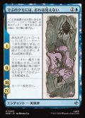 【日本語】でぶのクモには、おれは見えない/Old Fat Spider Can't See Me