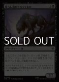 【日本語】荒らし場をうろつくもの/Desolation Prowler
