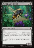 【日本語】大きく猛々しいミツバチ/Great Fierce Bee