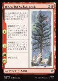 【日本語】燃えろ、燃えろ、木よ、シダよ/Burn, Burn, Tree and Fern