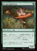 【日本語】やっかいな仔ウサギ/Nasty Little Rabbit