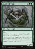 【日本語】でぶの年寄りクモ/Old Fat Spider