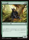 【日本語】ふつうの熊/Ordinary Bear