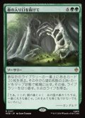 【日本語】森の入り口を抜けて/Through the Forest Gate