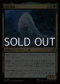 【日本語Foil】親分魔狼/The Chief Warg