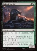 【日本語】薄暮見張りの狩人/Duskwatch Hunter