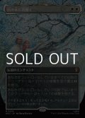 ☆特殊枠【日本語Foil】白の木に花開く/Flowering of the White Tree
