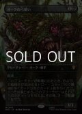 ☆特殊枠【日本語Foil】オークの弓使い/Orcish Bowmasters