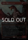 ☆特殊枠【日本語Foil】洞窟に宝蓄えしドラゴン/Cavern-Hoard Dragon