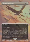 ☆特殊枠【日本語Foil】鷲たちがやってくる！/The Eagles Are Coming!
