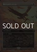 ☆特殊枠【日本語】鷲たちがやってくる！/The Eagles Are Coming!
