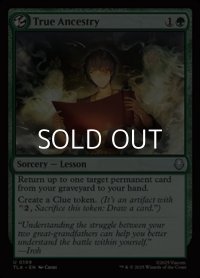 【英語Foil】祖先の真実/True Ancestry