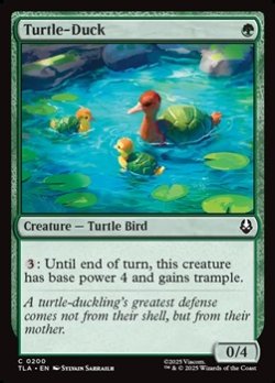 画像1: 【英語】カメアヒル/Turtle-Duck