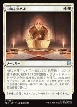 画像1: 【日本語】白蓮を集めよ/Gather the White Lotus