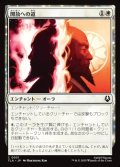 【日本語Foil】開放への道/Path to Redemption