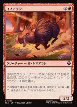 画像1: 【日本語】イノアラシ/Boar-q-pine