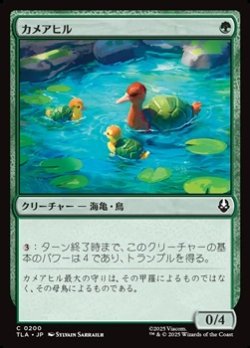 画像1: 【日本語】カメアヒル/Turtle-Duck